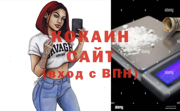 прущие грибы Заволжье