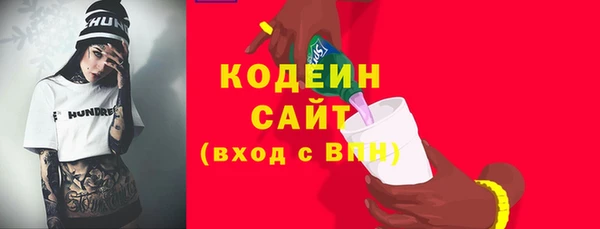 прущие грибы Заволжье