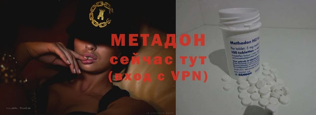 прущие грибы Заволжье
