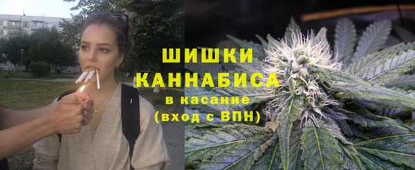 прущие грибы Заволжье