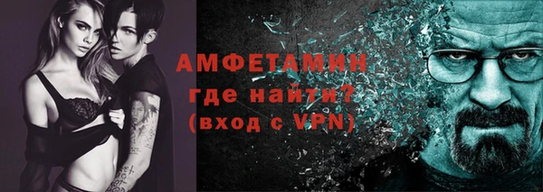 прущие грибы Заволжье