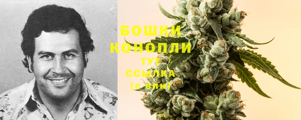 прущие грибы Заволжье