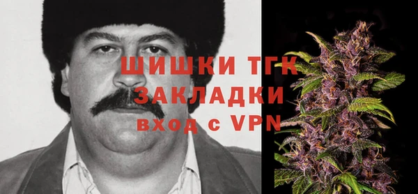 прущие грибы Заволжье