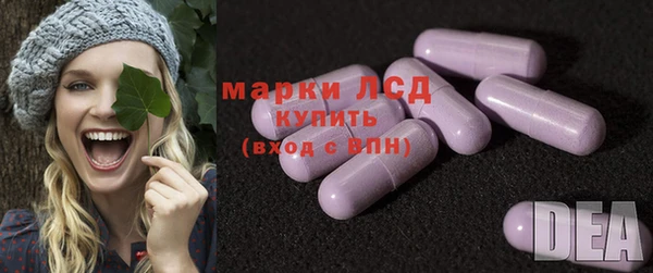 прущие грибы Заволжье