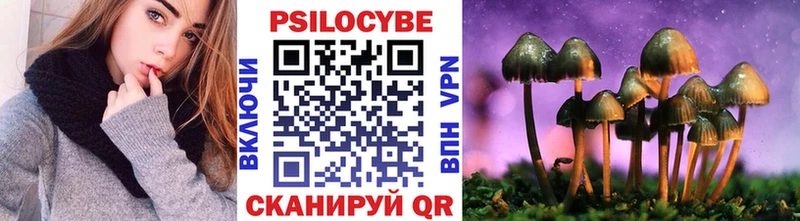 Галлюциногенные грибы Psilocybe  Шарыпово 
