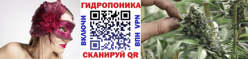 Бошки Шишки White Widow  Шарыпово 